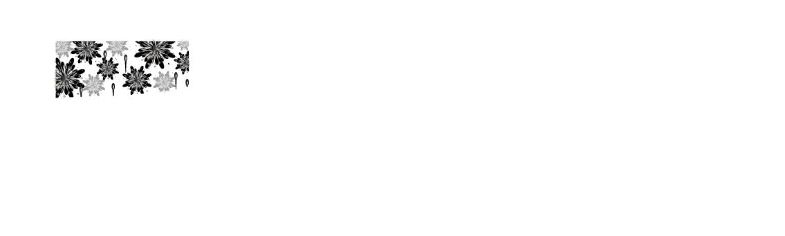 Pirotecnia São Carlos